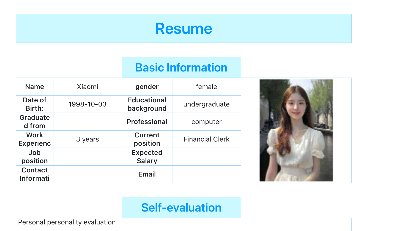 Personal Resume 12
